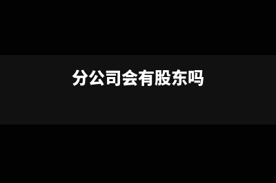 分公司是不是会计主体(分公司会有股东吗)