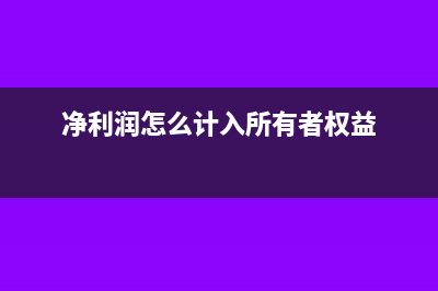 净利润是怎么计算出来的(净利润怎么计入所有者权益)