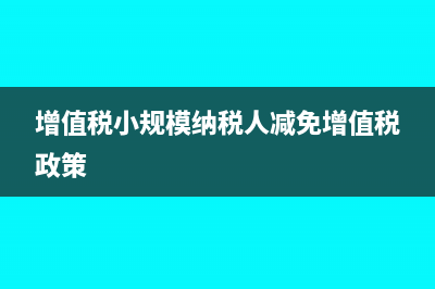 增值税小规模纳税人会计核算的特点有哪些(增值税小规模纳税人减免增值税政策)
