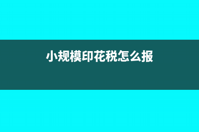 小规模印花税怎么申报(小规模印花税怎么报)