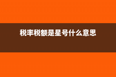 税率和税额是星号怎么设置(税率税额是星号什么意思)