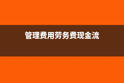 管理费用劳务费包括哪些(管理费用劳务费现金流)