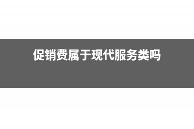 促销费属于现代服务吗(促销费属于现代服务类吗)