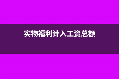 公司实物福利计入什么费用(实物福利计入工资总额)
