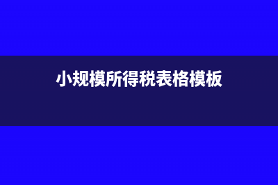 小规模所得税b类报表怎么填(小规模所得税表格模板)