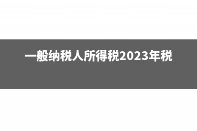 一般纳税人所得减免优惠明细表怎么填(一般纳税人所得税2023年税率)