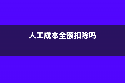 人工成本全额扣除吗