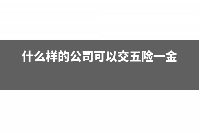 什么样的公司可以开具现代服务业促销宣传费发票(什么样的公司可以交五险一金)