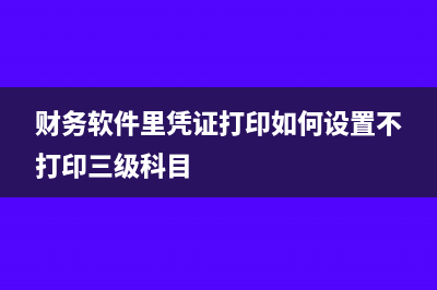 财务软件里凭证摘要不能正常录入怎么办(财务软件里凭证打印如何设置不打印三级科目)