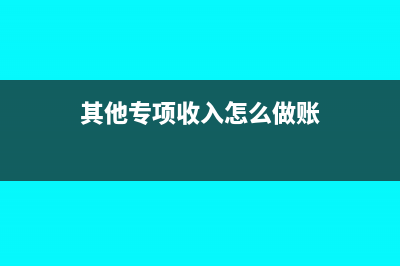 其他专项收入是交什么税(其他专项收入怎么做账)