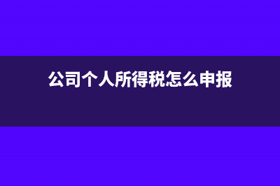 公司个人所得税申报平台怎么进行申报(公司个人所得税怎么申报)