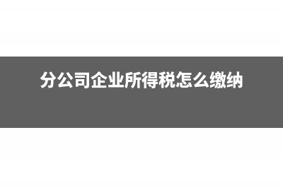 分公司企业所得税如何申报(分公司企业所得税怎么缴纳)