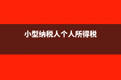 小型纳税和个人纳税有什么不同(小型纳税人个人所得税)
