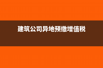 法人向公司借款现金流怎么写(法人向公司借款用途怎么写)