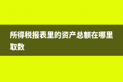 所得税季报总资产填错了金额怎么办(所得税季报总资产是什么)