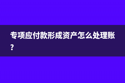 专项应付款在资产负债表如何列示?(专项应付款形成资产怎么处理账?)