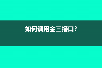 如何调用金三接口?