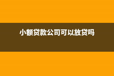 小额贷款公司可否提取贷款损失准备金?(小额贷款公司可以放贷吗)