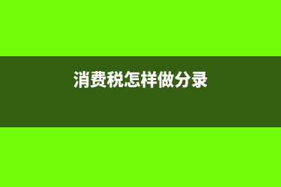 消费税如何做账务核算?(消费税怎样做分录)