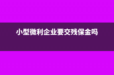 小型微利企业要享受普惠性所得税减免政策,需要准备哪些留存备查资料?(小型微利企业要交残保金吗)