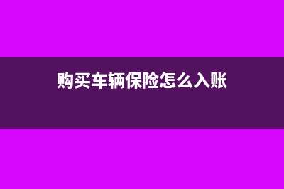 购入汽车保险如何入账？(购买车辆保险怎么入账)