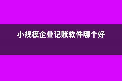 小规模企业记账申报?(小规模企业记账软件哪个好)
