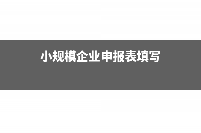 小规模企业申报周期?(小规模企业申报表填写)