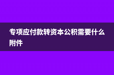 专项应付款转资本公积怎么处理?(专项应付款转资本公积需要什么附件)