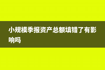 小规模季报资产负债表怎么填?(小规模季报资产总额填错了有影响吗)