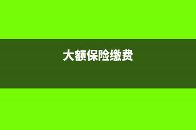 扣缴大额保险分录怎样做?(大额保险缴费)