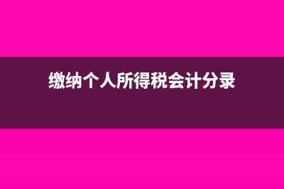 缴纳个人所得税怎样做会计分录?(缴纳个人所得税会计分录)