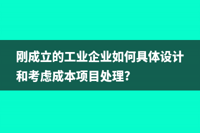 刚成立的工业企业如何具体设计和考虑成本项目处理?