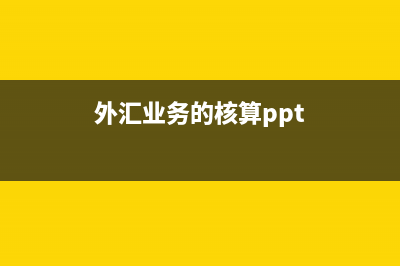 外汇业务的核算原则(外汇业务的核算ppt)