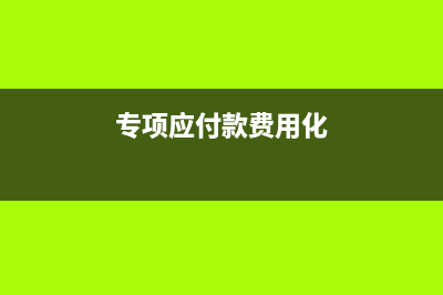 专项应付款费用的账务处理?(专项应付款费用化)