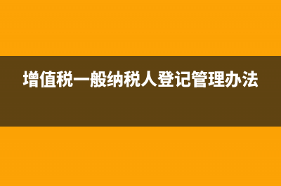 增值税一般纳税人本月只有进项税,没有销项税账上怎么处理(增值税一般纳税人登记管理办法)