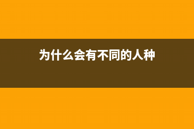 个体酒店如何纳税(个体工商户的酒店增值税率是多少)