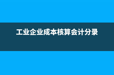 待摊费用的检查内容与调账技巧？(待摊费用的明细)