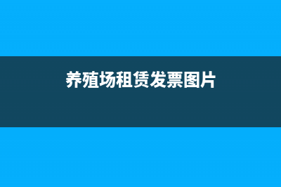 资产计税基础填什么(资产计税基础填资产原值吗)