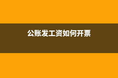 从公账发工资是怎么扣除个人所得税?(从公账发工资是什么凭证)
