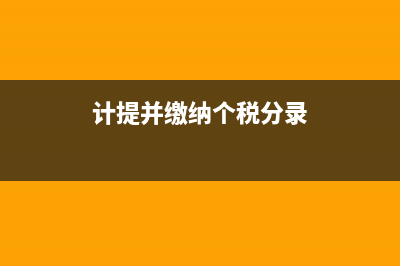 非独立核算的分公司账务处理？(非独立核算的分公司如何报税)