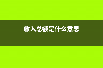 收入总额是指什么意思？(收入总额是什么意思)