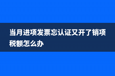 一般纳税人进项税额能不能抵扣普票呢？(一般纳税人进项销项抵扣如何做账)