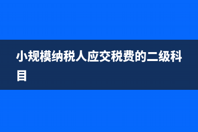 小规模纳税人应纳税额怎么算？(小规模纳税人应交税费的二级科目)