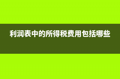 哪些资产属于无形资产？(无资产可执行啥意思)