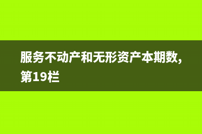 服务不动产和无形资产扣除项目明细怎么填？(服务不动产和无形资产本期数,第19栏)