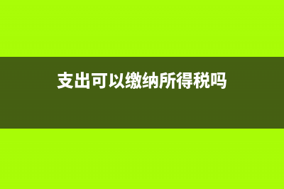 支出可以缴纳所得税税前扣除的支出有什么？(支出可以缴纳所得税吗)