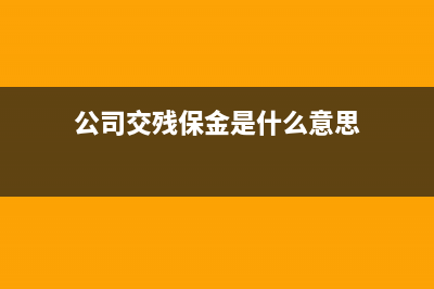 残疾人就业保障金的账务处理？(残疾人就业保障金是什么意思啊)