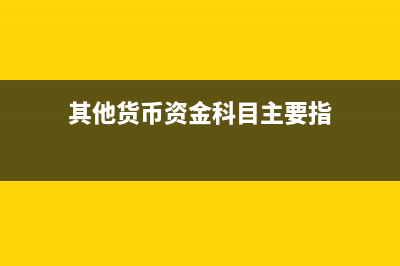 其他货币的账面如何设置？(其他货币的账面价值包括)