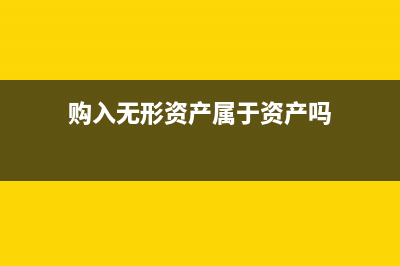 购入无形资产产生相关费用计入成本吗？(购入无形资产属于资产吗)