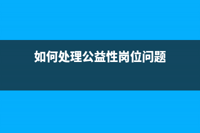 一般纳税人企业增值税如何处理？(一般纳税人企业所得税多久申报一次)